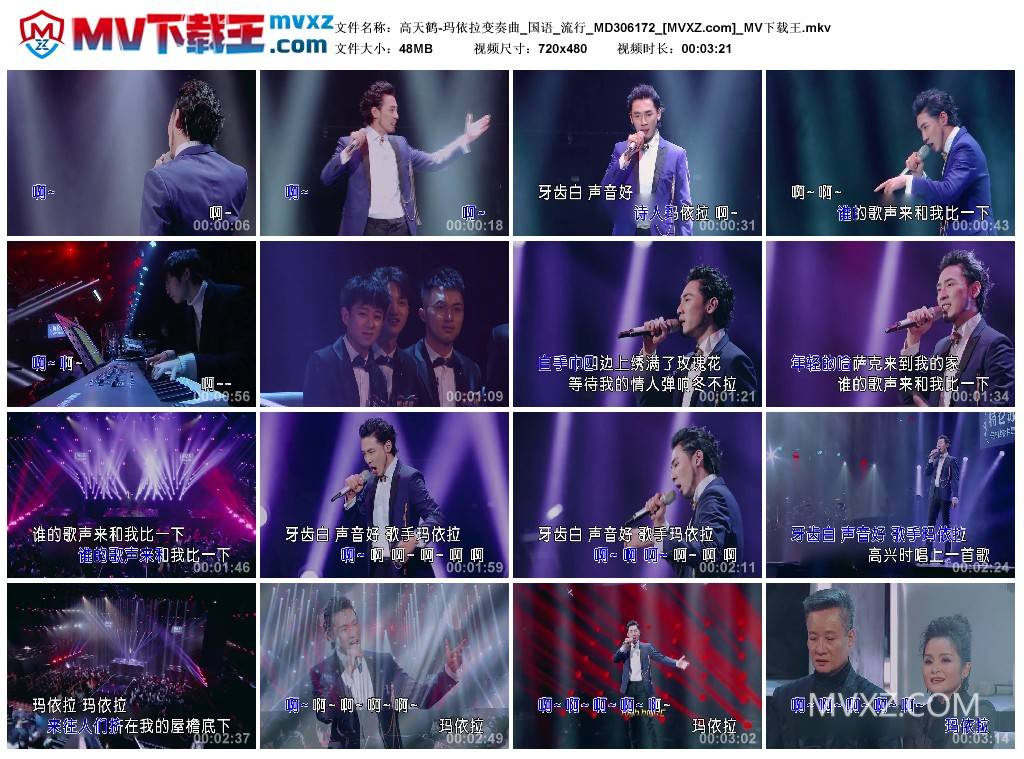 高天鹤-玛依拉变奏曲_国语_流行_MD306172